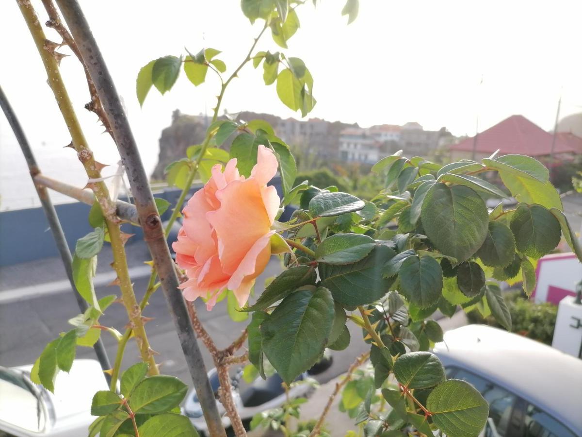 Westerland House Ribeira Brava Esterno foto